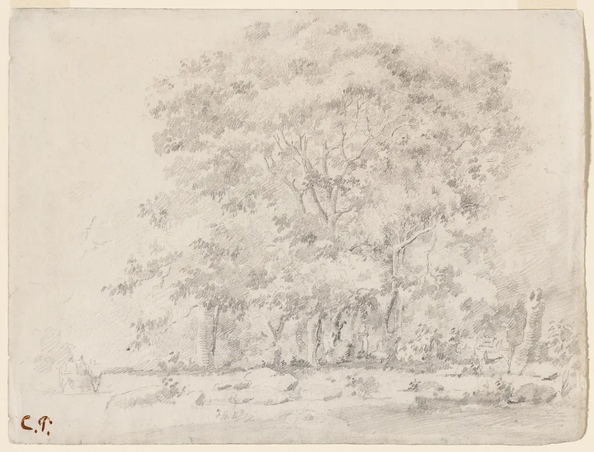 Paysage avec des ânes, Venezuela